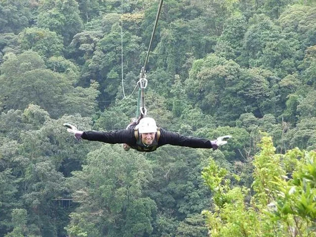 Person ziplining face-down through a dense, green forest canopy wearing a helmet.