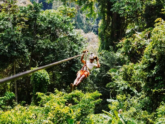 A person ziplining through a lush, dense tropical rainforest canopy.