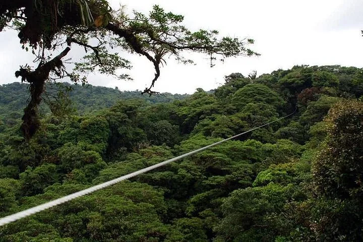 A long zipline cable stretching over a lush, green tropical rainforest canopy.