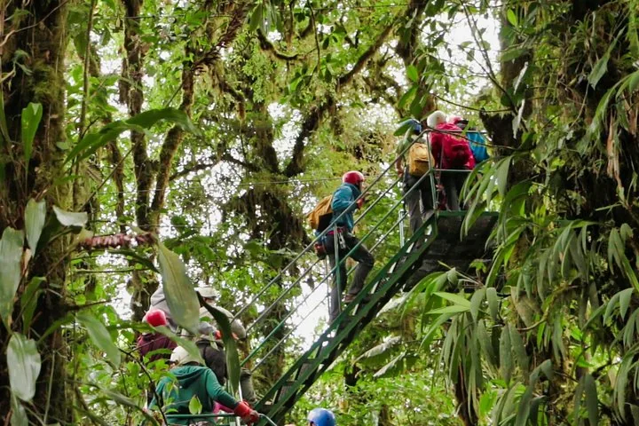 Group of people wearing helmets climbing green metal stairs in a lush forest