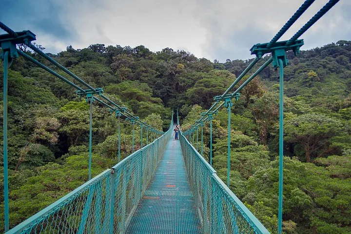 A person standing on a long green suspension bridge over a dense forest canopy