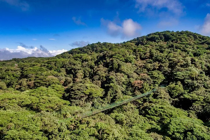 Aerial view of a long suspension bridge stretching across a thick, green forest