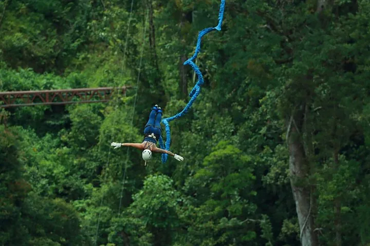 Person bungee jumping headfirst over a forest canopy at Monteverde Extremo Park.