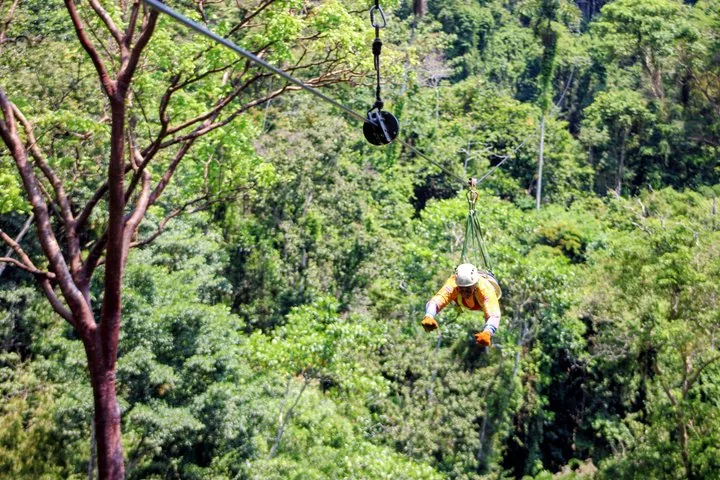 A person on a long zipline flying Superman style over a forest.